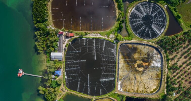 Wasserstoffperoxid und Peressigsäure als alternative Desinfektionsmittel in Wasseraufbereitungs-Anlagen