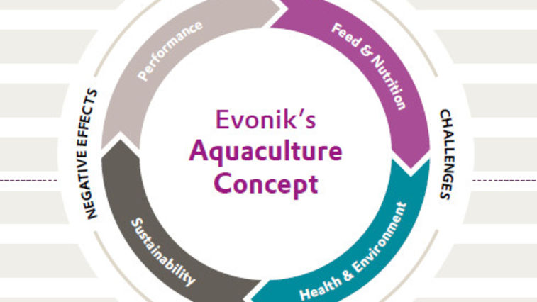 Evonik's Konzept über nachhaltige Fischzucht und Aquakultur