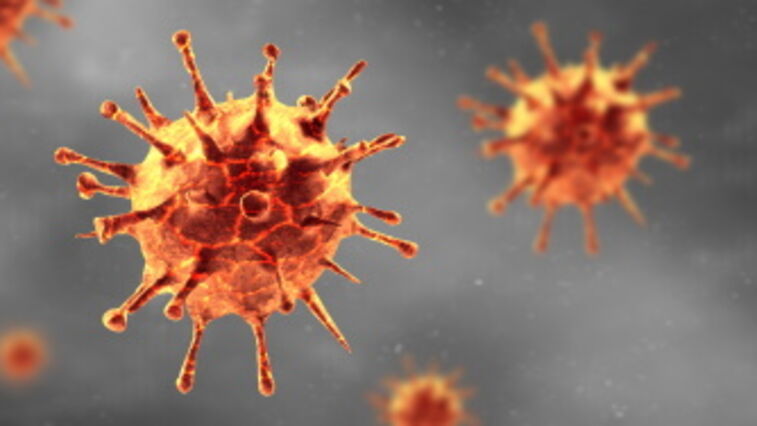 Die Peressigsäure der Marke PERACLEAN® 15 wirkt gegen das Coronavirus und wird zur Dekontamination von Oberflächen verwendet.