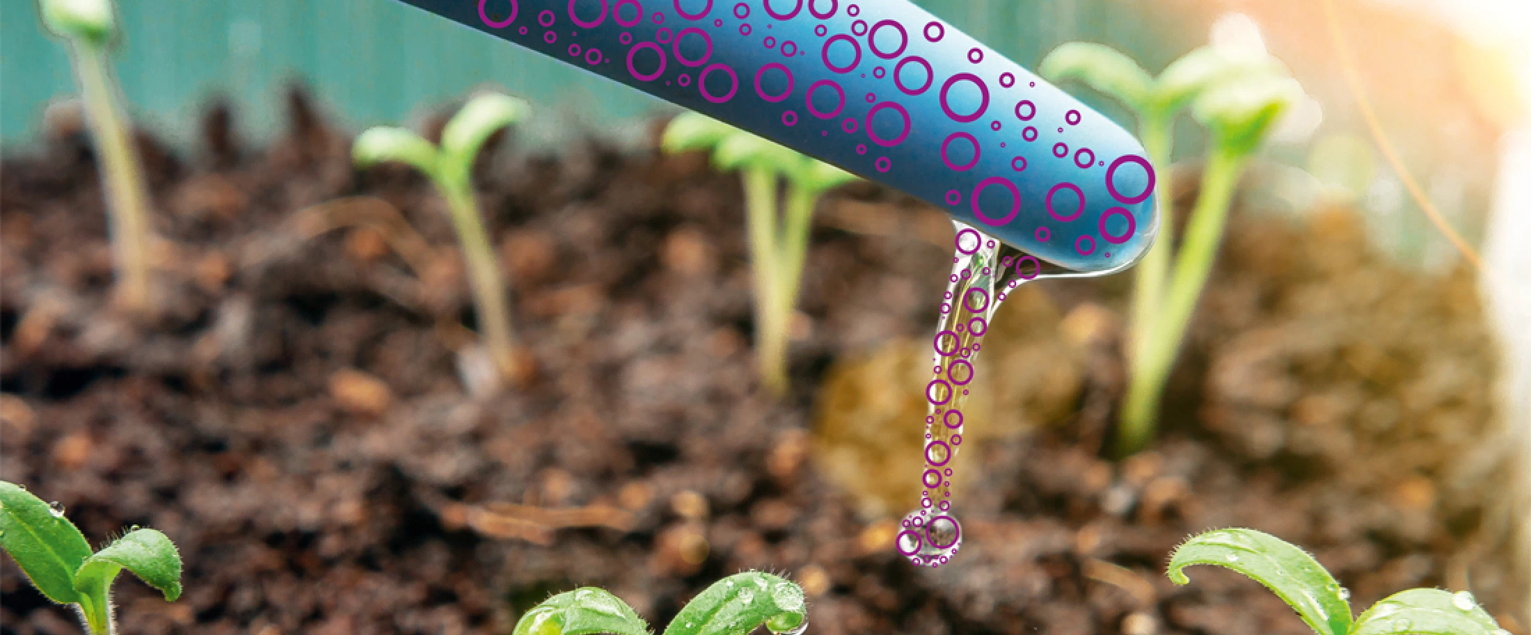 Agriculture | Drip Irrigation - Evonik Industries