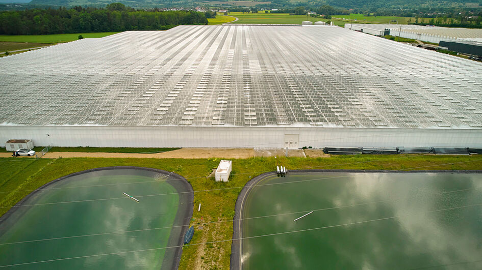 Gärtnerei Reichenau nutzt Evonik Active Oxygens' Wasserhygiene als Service