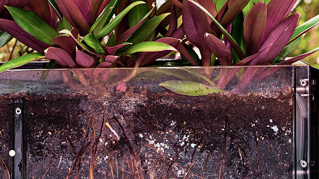 Produktion von Wasserstoffperoxid mit Katalysator in einem Gerät