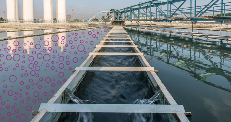 hydrogen peroxide and peracetic acid combat microbes in recycled water