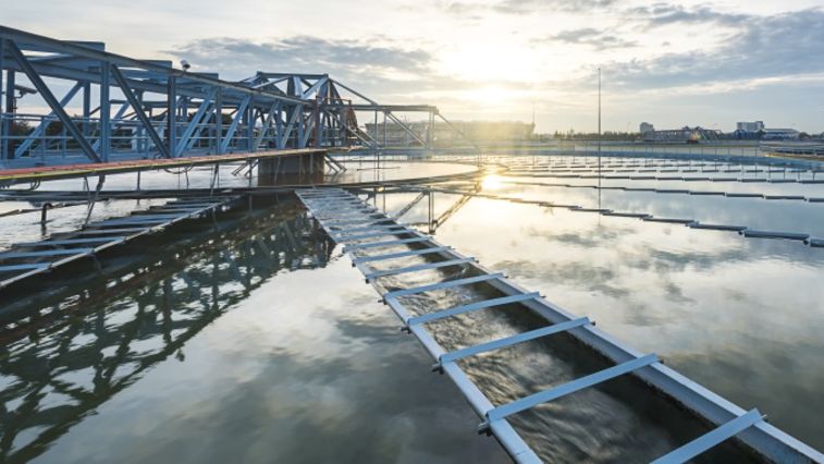 VIGOROX® WWT II peracetic acid prevention of co-products in wastewater